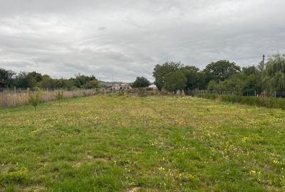 Teren intravilan pe Strada Principală – Faraoanele, Vârteșcoiu - 11