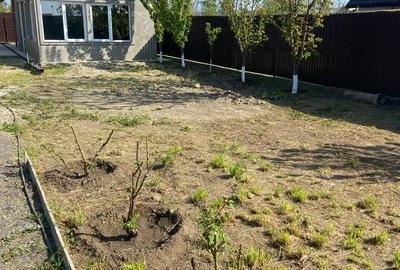 Oaza de relaxare - 3