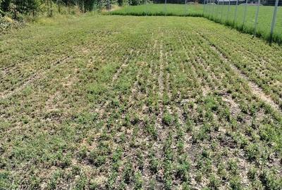 Spațiu comercial, în Ghighiu - 2