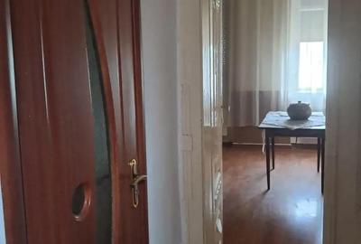 Casă cu 5 camere cu Teren 4000 Mp în Lugoj - 1