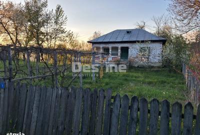 Casă cu 2 camere în Șerbănești - 1