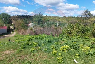 Teren intravilan in Sanduleni jud. Bacau - 11
