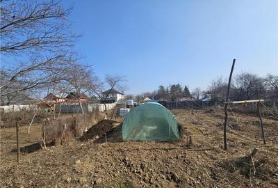 Teren intravilan 2000 mp, Calea Romanului - 2