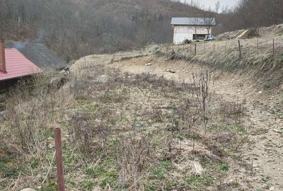 Teren de 918 mp, în Râșca - 4