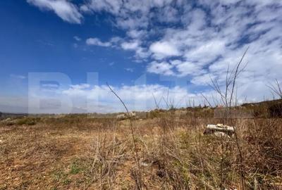 Teren de 710 mp, în Bârnova - 3