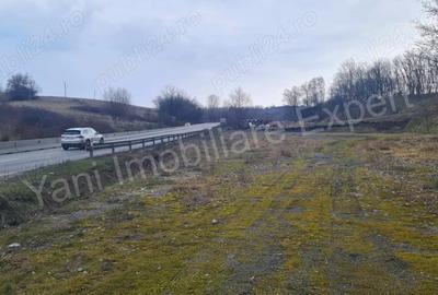 Teren de 10141 mp, în Dedulești - 11