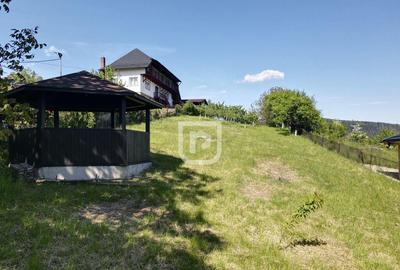 Casa batraneasca cu foi?or ?i teren - 12