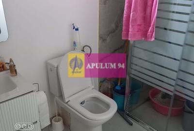 Vila P+1+pod- Fundeni- Dobroesti - 13