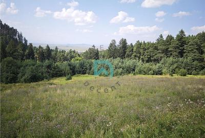 Teren Construcții intravilan de 1500 mp, în Poiana Angelescu - 4