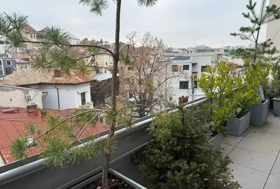 Doua camere mobilat/utilat stil industrial cu terasa zona Parc Carol - 10