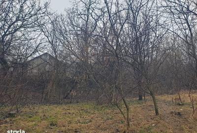 Teren de 1000 mp, în Copou - 3