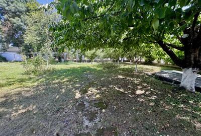 Casă cu 7 camere cu Teren 1150 Mp în Siliștea Snagovului - 18