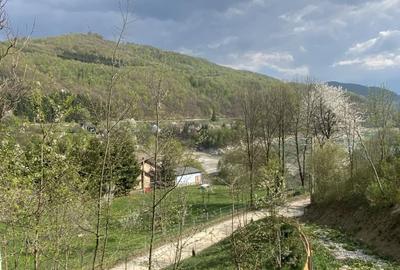 Teren de 4360 mp, în Valea Doftanei - 13