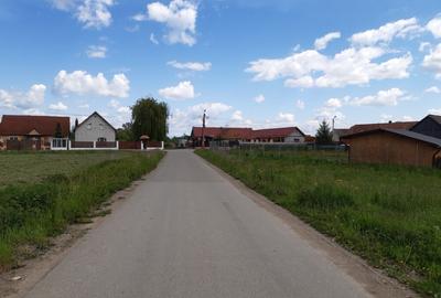 Teren intravilan 5000 mp construibil zona rezidentiala - 3