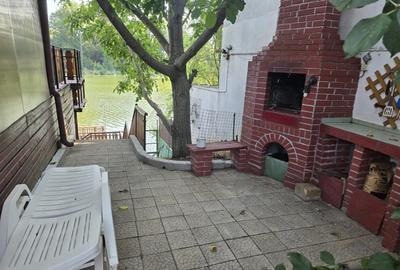 Casa Marta Bibescu pe malul lacului cu piscina - 9