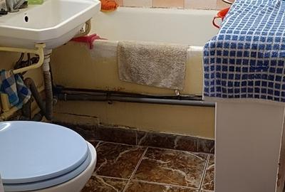 Apartament cu 2 camere semidecomandat în Berceni - 11