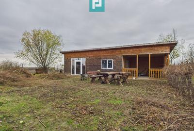 Casă individuală spațioasă, la 10 km de Timișoara - 28