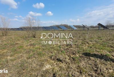 Teren de 978 mp, în Drăguțești - 5