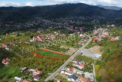 Teren de 2619 mp, în Oeștii Pământeni - 4