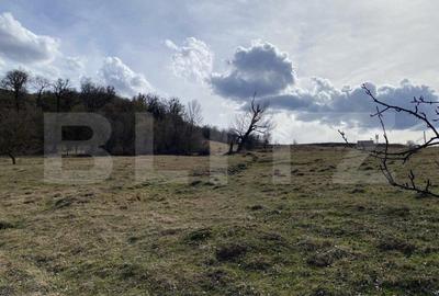 Teren extravilan in suprafata de 7500 mp la poalele Mesesului - 4