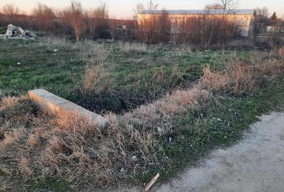Teren Construcții intravilan de 7650 mp, în Săbăreni