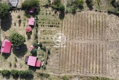 Teren de 6800 mp, în Mogoșești - 2