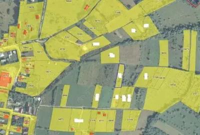 Teren 5000 mp, Loc. Sieu, Jud Maramures - 1