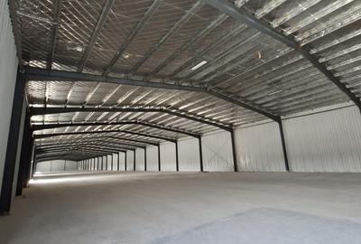 Hala 4200mp cu rampa in Afumati pentru depozitare Hala 4200mp cu rampa in Afumati pentru depozitare - 6