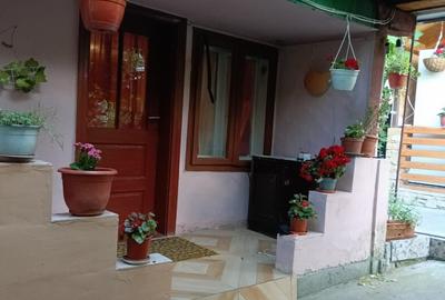 Teren 4137mp si Casa - Targu Ocna - 3