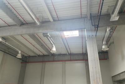 Drumul Intre Tarlale - A2- Palady depozit farma, produse alimentare, - 6