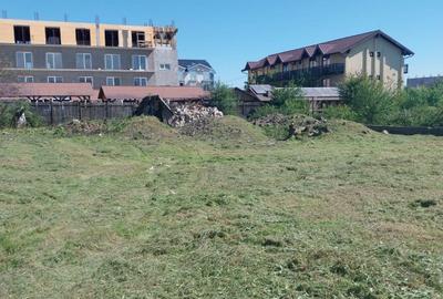 ROANDY - Teren intravila zona Costinesti - 4