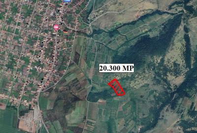 Teren de 20300 mp, în Șiria