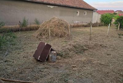 Casă cu 3 camere în Cenad - 7