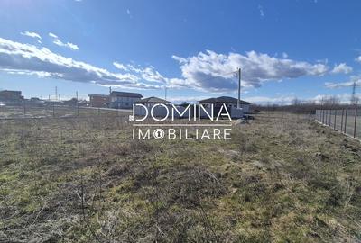 Teren Construcții intravilan de 1184 mp, în Drăguțești - 4