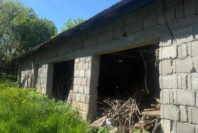 Casă cu 3 camere în Teiu - 8