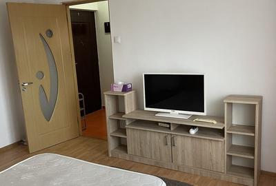 Garsonieră decomandată în Valea Rosie - 1