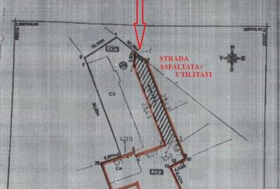 Pache Protopopescu M3: POT 60%, CUT: 2.5 - 5
