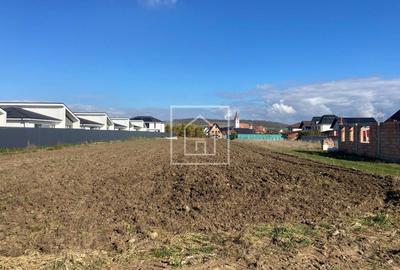 Teren Construcții intravilan de 3500 mp, în Cristian - 4