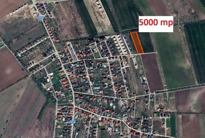 Corbeanca I Ostratu I Teren I 5000 mp  I Ideal Dezvoltare - 2