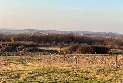 RECO Teren intravilan in Saldabagiu De Munte 2000mp - 1