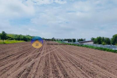 Teren- Com. Stefan cel Mare- jud. Neamt - 5