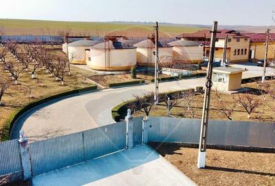 Crama din Buciumeni Afacere la cheie - 11