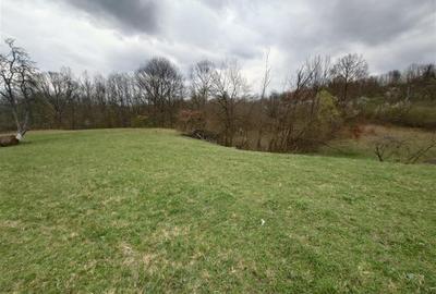 Teren intravilan de 9370 mp, în Țebea - 2