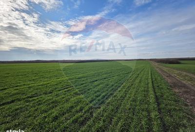 Spațiu comercial, în Ianova