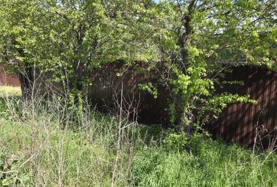 Teren agricol intravilan de 2050 mp, în Valea Măcrișului - 3