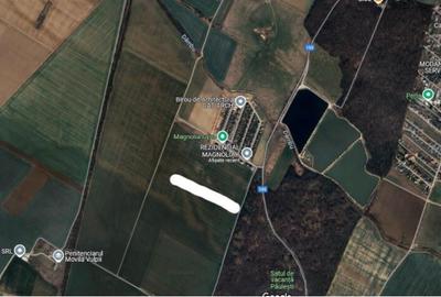 Teren de 2300 mp, în Păulești