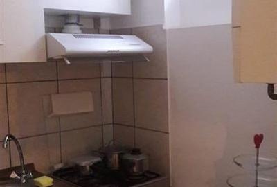 Inchiriere  garsoniera, 25 mp,  situata la demisol, zona Grivitei - 9