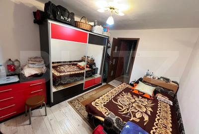 Apartament cu 2 camere semidecomandat, mobilat în Brazda lui Novac - 3