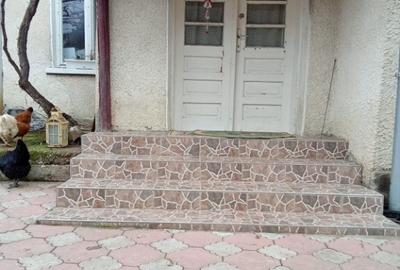 Casa cu gradina in jud. Bihor - 3