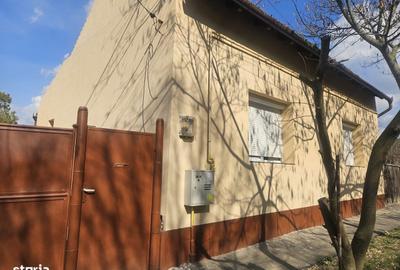 Casă cu 3 camere cu Teren 916 Mp în Sălard - 4